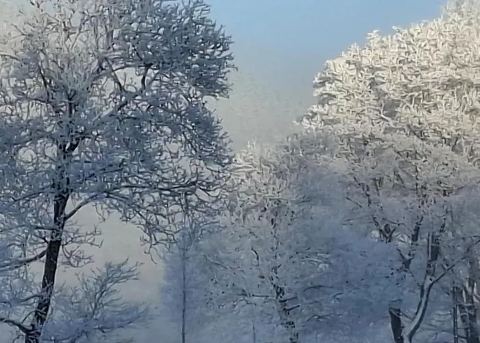 Apartment Mit Herz *